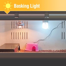 Leoterra Reptile UVB Light Bulb 13w 10.0, High Output Desert Lamp for Bearded Dragons, Turtles & Diurnal Reptiles, Strong UVA UVB Basking Light for Small Terrarium & Vitamin D3