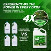 1 Gallon 4X Green Spray Dye - Makes 512 Gallons