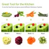 MENNYO Spiral Vegetable Cutter with Container, 4 in 1 Vegetable