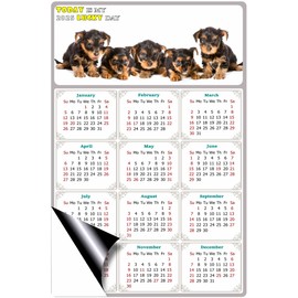2025 Magnetic Calendar - Calendar Magnets - Today is my Lucky Day - (Fade, Tear, and Water Resistant) - Dogs Themed 016 (7 x 10.5)