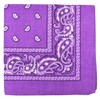 DF Gallery Bandana Hair Accessory Dance Costume Accessories Paisley Cotton
