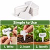 Waterproof T-Shaped Plant Labels for Garden Organization – Reusable PVC