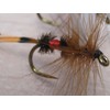 BestCity Fly Fishing for Trout BARBLESS MIXED SEASON SELECTION 20