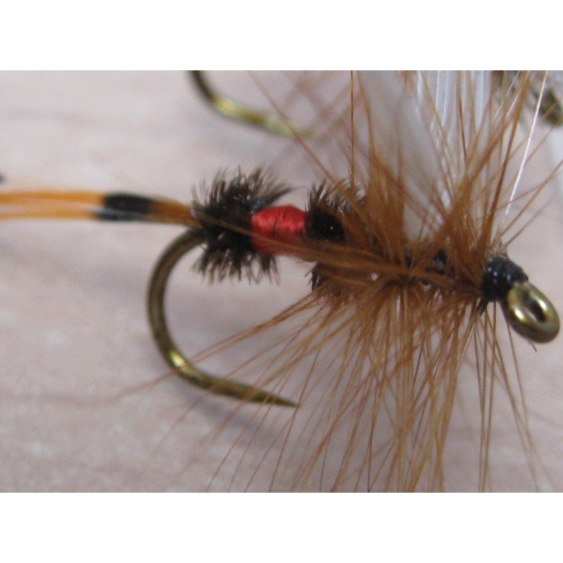 BestCity Fly Fishing for Trout BARBLESS MIXED SEASON SELECTION 20