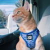 Travel Cat Harness and Leash Set - Adjustable Fit Mesh