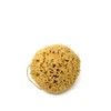 Large 16CM Sea Sponge Unbleached Honeycomb Natural Seasponge for Bath