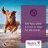 Vectra® for Dogs & Puppies Flea Treatment & Prevention for