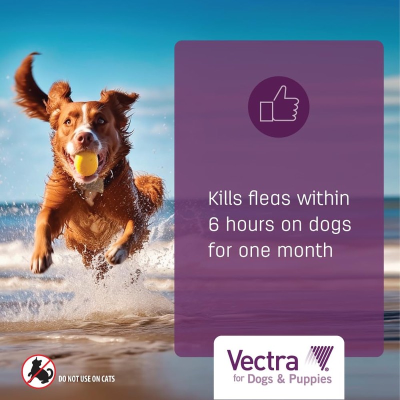 Vectra® for Dogs & Puppies Flea Treatment & Prevention for