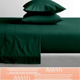 Mr Pandaa 100% Giza Egyptian Cotton Dreams Sheet Set, Long-Staple Cotton, 6 PC Giza-Bed-My-Sheets-&-Pillowcases, Sateen Weave Soft Silky Feel, Fits Mattress Upto 15'' Deep - Teal Blue-Queen