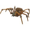 Morris Costumes Deluxe Lightup Wolf Spider