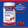 Lamberts Multi-Guard Hair Skin and Nails 60 Gummies – with