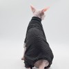 Ropa de gato sin pelo, cálida y suave, otoño e