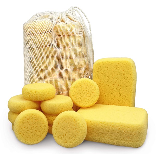 Premium Synthetic Horse Tack Sponges - with Cotton Bag; 12pc Value Pack for Saddles, Bridles, Boots and Leather Care (2x Rectangular, 10x Round) by Equus Constantia