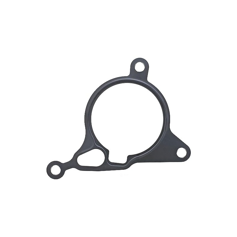 ELRING 443.020 Seals