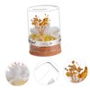 ULTECHNOVO Valentine's Day Preserved Rose Glass Dome with Solid Base