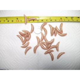 thesportsmaster23 200-7/8"-crapp