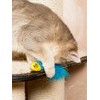 Turkey Cat Watamote Whitening Toy 01 Minnow