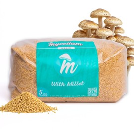 Mycelium 5 lb Millet Mushroom Grain Spawn | Pre-Sterilized Bag with Self-Healing Injection Port – Ideal for Fast, Clean Mycelium Growth | Ready to Inoculate for At-Home Cultivation | Made in USA