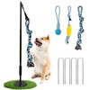Outdoor Dog Tug Toy, Durable Spring Pole, 3 Ropes &