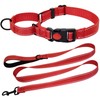 HSIGIO Martingale Collar for Dogs, Reflective Martingale Dog Collar and