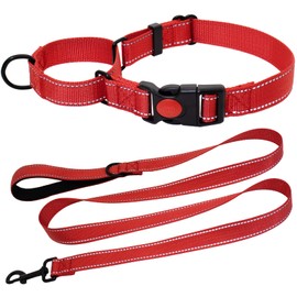 HSIGIO Martingale Collar for Dogs, Reflective Martingale Dog Collar and Leash Set, No Pull Adjustable Dog Training Collars with Quick Release Buckle for Small Dogs(Red, S)