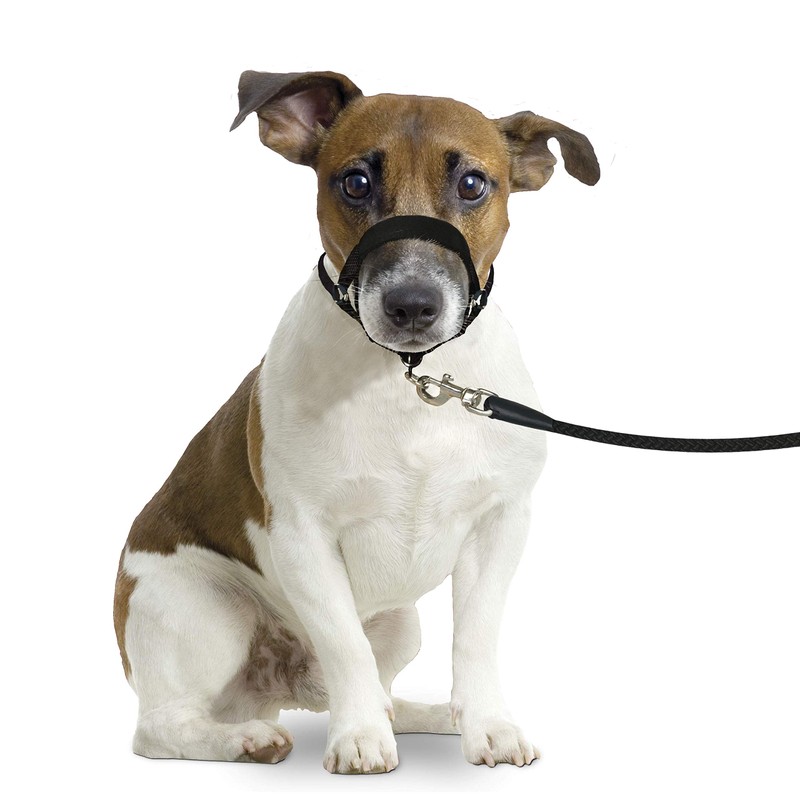 Karlie 502594 Easy Lead Medium Black