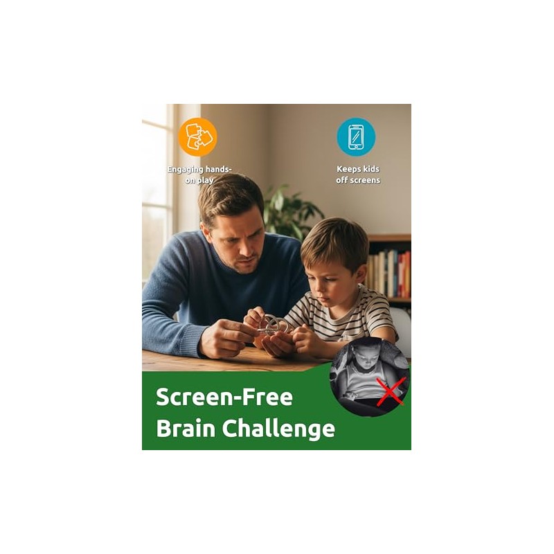 4-in-1 Classic Metal Puzzle Set by Sharp Brain Zone –