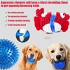 Squeak Dog Toys For Aggressive Chewers, No Stuffing Squeak Dog