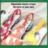 Bird Flight Suits Diapers for Monk Parakeets, Conures, Lovebirds, Cockatiels