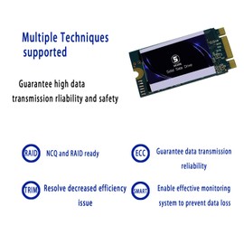 SSD SATA M.2 2242 60GB Shark Ngff Internal Solid State Drive High Performance Hard Drive Desktop Laptop SATA III 6Gb/s (60GB, M.2 2242)