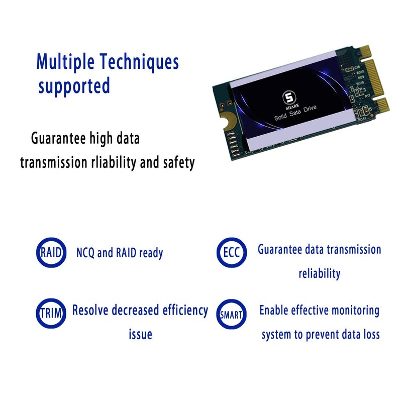 SSD SATA M.2 2242 60GB Shark Ngff Internal Solid State