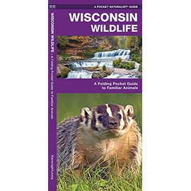 Wisconsin Wildlife: A Folding Pocket Guide to Familiar Animals (Wildlife and Nature Identification)