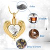 QGJNSGC Cremation Jewellery for Ashes Pendant Crystal Heart Urn Necklace