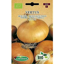 Germisem Vertus ECBIO1002 Onion