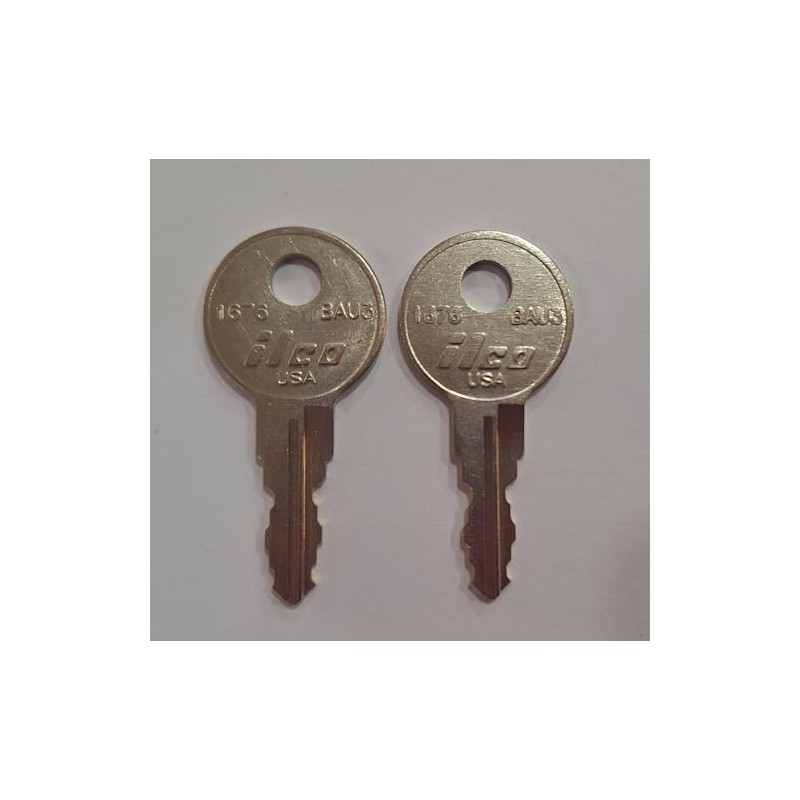 2 Replacement Keys Cut to Key Code RL011 RNL Roll