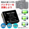 PSE Standard Inspection, Set of 2, Compatible with PANASONIC DMW-BLE9,