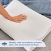 Sleep Innovations Memory Foam Contour Pillow, Queen Size, Head, Neck,