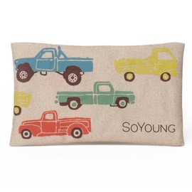 SoYoung No-Sweat Ice Pack for Lunch Boxes, Vintage Truck