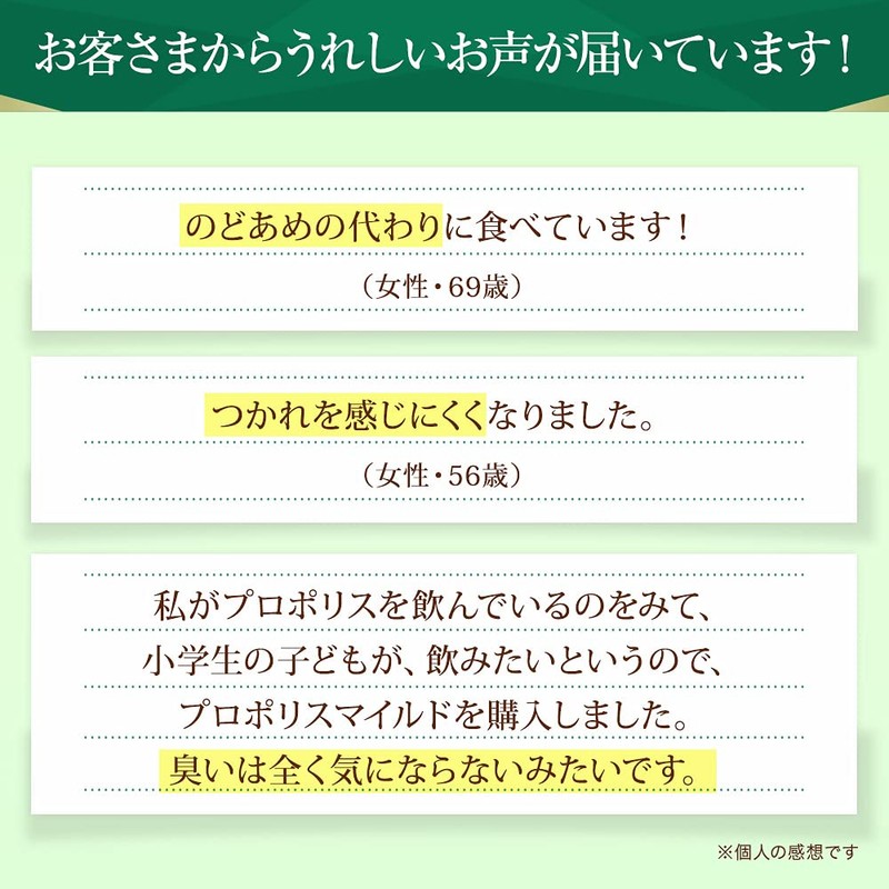 山田養蜂場 プロポリスマイルド 240粒入