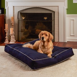 Happy Hounds Casey Medium (42 x 30 in.) Midnight Rectangle Indoor/Outdoor Pillow Style Dog Bed