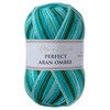 Utopia Crafts Aran Ombre Multicolour Knitting and Crochet Yarn, 300g