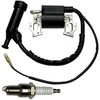 TSYCWQ 196CC 212CC Ignition Coil Pack & Spark Plug Replaces