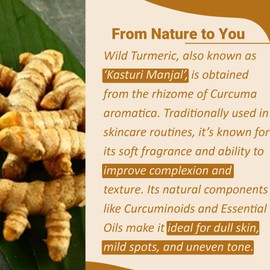 Minature Wild Turmeric Powder 227g (8oz)| Natural Haldi Powder | Herbal Supplement & Skincare Use | No Common Allergens