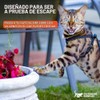 Arnés y correa para gatos, a prueba de escapes, sin