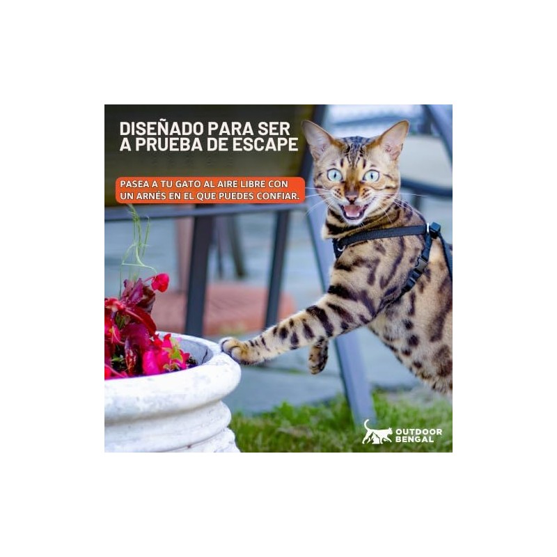 Arnés y correa para gatos, a prueba de escapes, sin