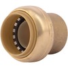 SharkBite 1 Inch Push Cap, Push to Connect Brass Plumbing