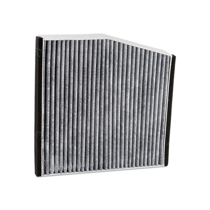 RIDEX Cabin Air Filter 424I0257 A-Class (W176) 255 mm 254