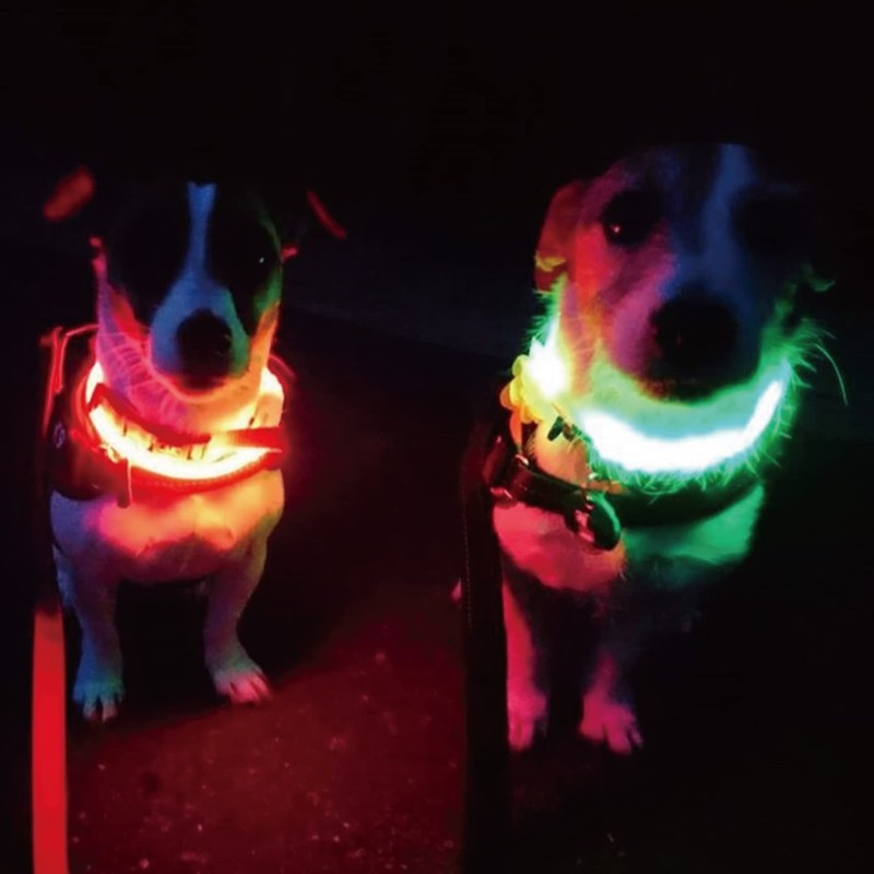 PLATZ PET SUPPLISE&FUN Dog Collar Walking Goods Safety Color Green