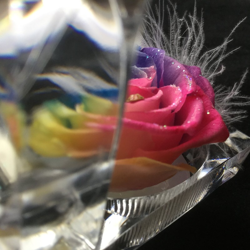 Floral Babydoll Preserved Flowers Rainbow Rose Jewelry Case