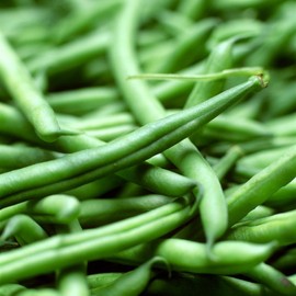 [Chamgoods] Guar Gum Hydrolyzate Pro Balance 200g 5 cans / [참굿즈] 구아검 가수분해물 프로 밸런스 200g 5통